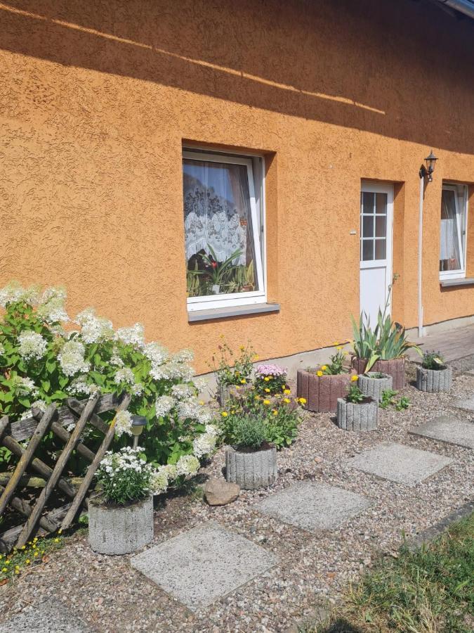 Ferienwohnung Warnitz Blankenburg  外观 照片